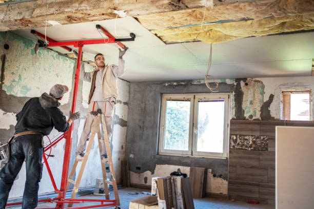 Best Insulation for New Construction  in Odem, TX