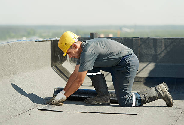 Best Soundproof Insulation Installation  in Odem, TX