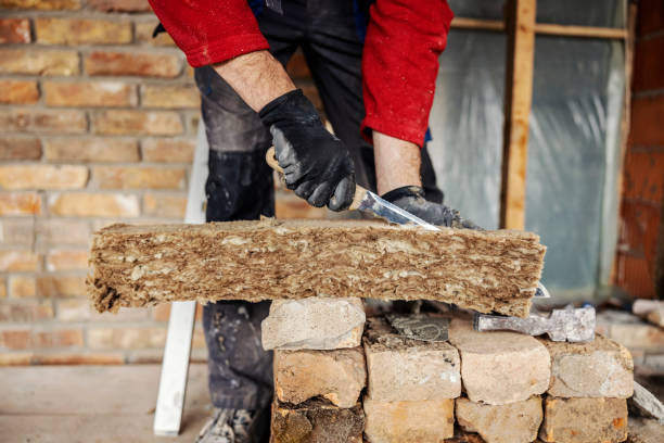 Best Best Insulation Companies  in Odem, TX