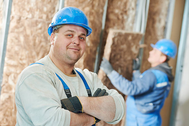 Best Local Insulation Services  in Odem, TX