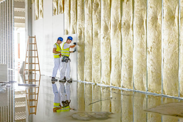 Range of Insulation Solutions in Odem, TX